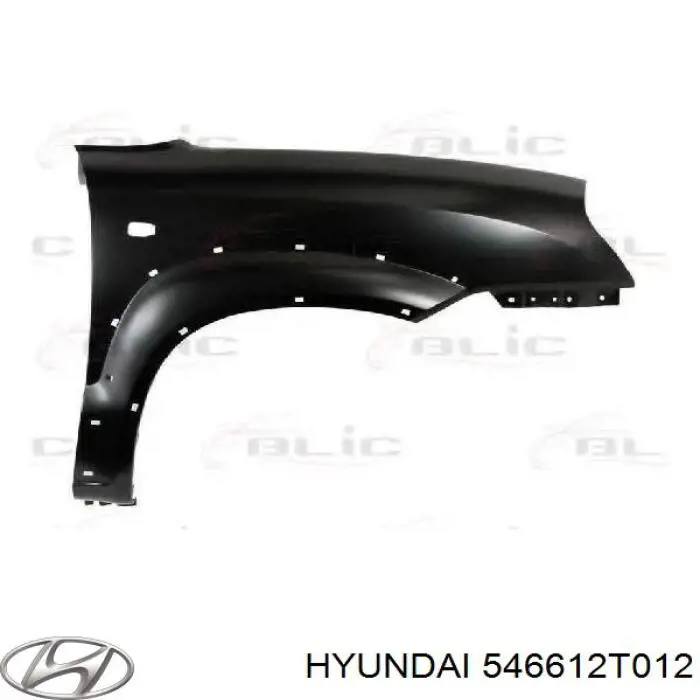 546612T012 Hyundai/Kia amortiguador delantero derecho