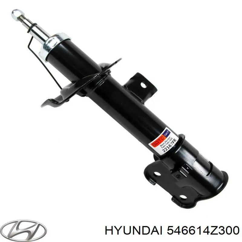 546614Z300 Hyundai/Kia