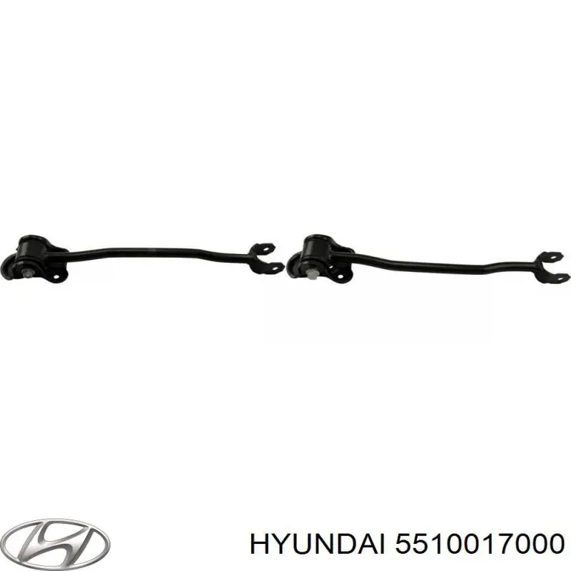 Brazo longitudinal inferior izquierdo de la suspensión trasera Hyundai/Kia 5510017000 precio, desde 55,98 EUR