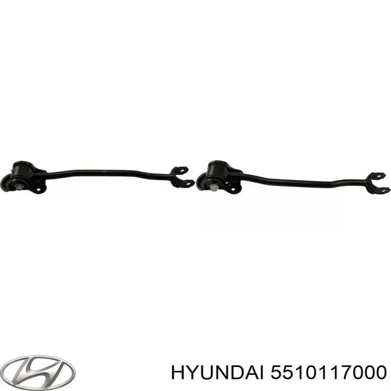 Brazo oscilante longitudinal, trasera derecha para Hyundai Matrix (FC)