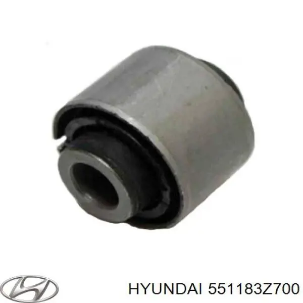 551183Z700 Hyundai/Kia