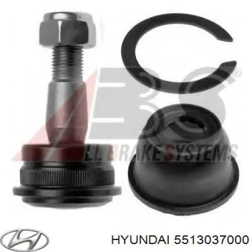 5513037000 Hyundai/Kia rótula,suspensión de eje trasero, inferior