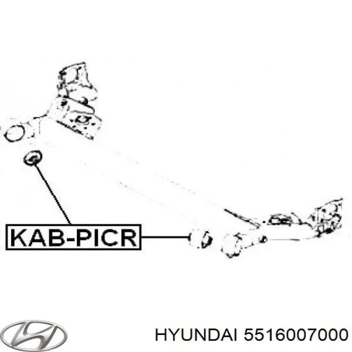 5516007000 Hyundai/Kia suspensión, cuerpo del eje trasero