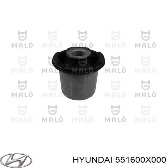 551600X000 Hyundai/Kia suspensión, cuerpo del eje trasero