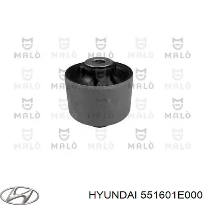 551601E000 Hyundai/Kia suspensión, cuerpo del eje trasero