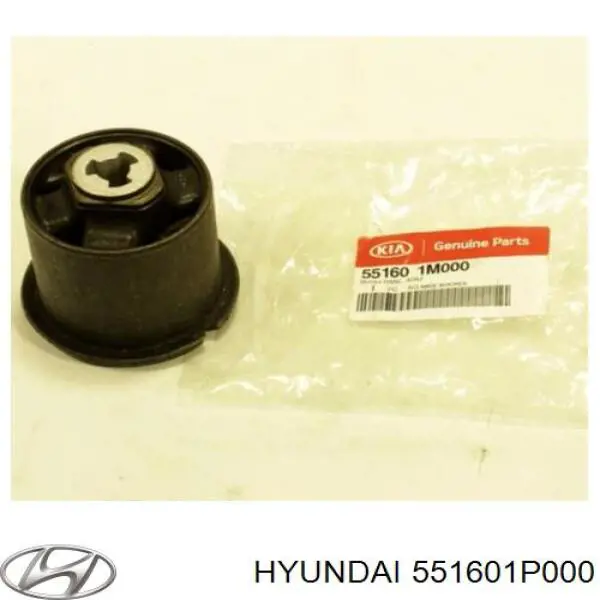 551601P000 Hyundai/Kia suspensión, cuerpo del eje trasero