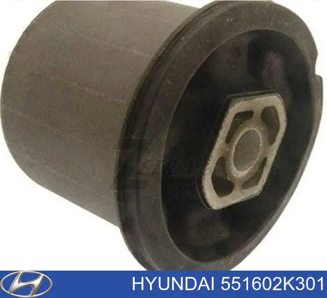 551602K301 Hyundai/Kia suspensión, cuerpo del eje trasero