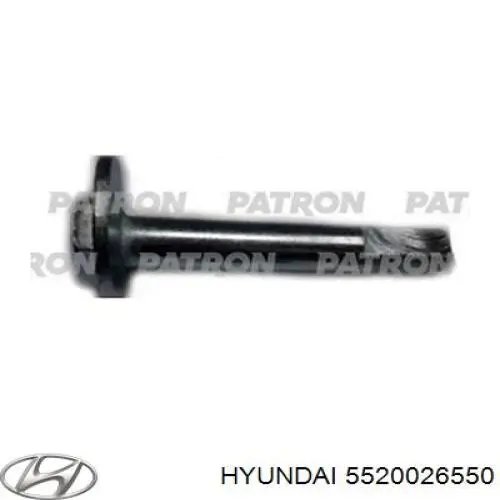 Brazo superior izquierdo de la suspensión trasera Hyundai/Kia 5520026550