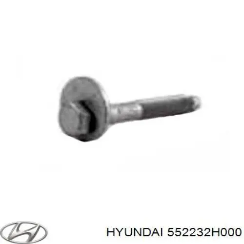552232H000 Hyundai/Kia arandela cámber alineación excéntrica, eje trasero, inferior, interior