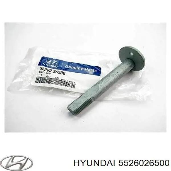 Perno de fijación, brazo oscilante Inferior Trasero,Interior para Hyundai Santa Fe (SM)