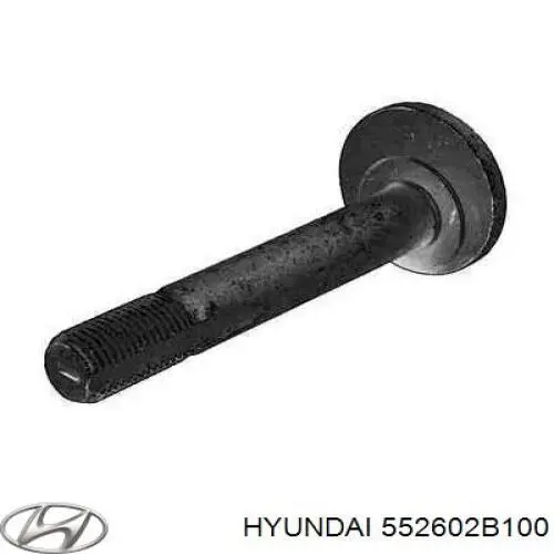 Perno de fijación, brazo oscilante Inferior Trasero,Interior para Hyundai Santa Fe (CM)