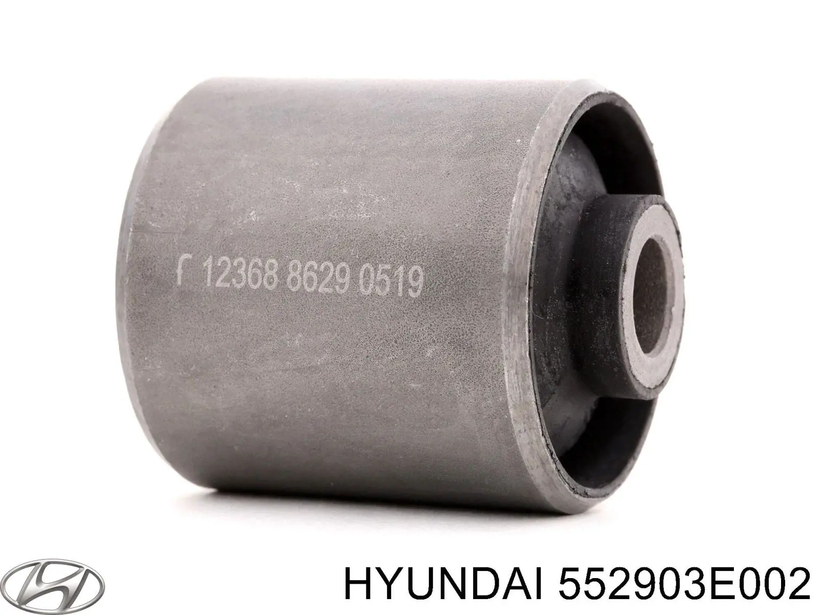 Buje del brazo longitudinal inferior trasero GV0660 CTR