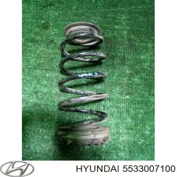 Muelle de suspensión trasero Hyundai/Kia 5533007100 precio, desde 29,52 EUR