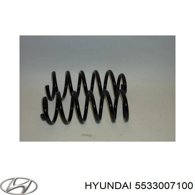 Muelle ZC6408C Japan Parts