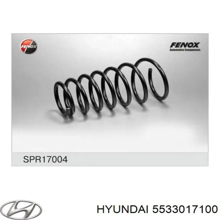 5533017100 Hyundai/Kia muelle de suspensión eje trasero