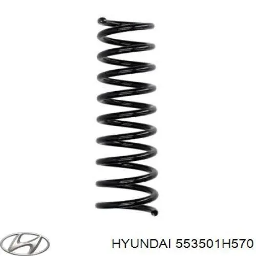 553501H570 Hyundai/Kia muelle de suspensión eje trasero