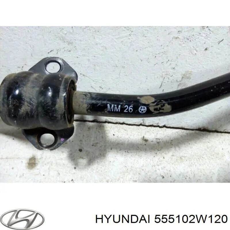 Estabilizador trasero para Hyundai Santa Fe (DM)