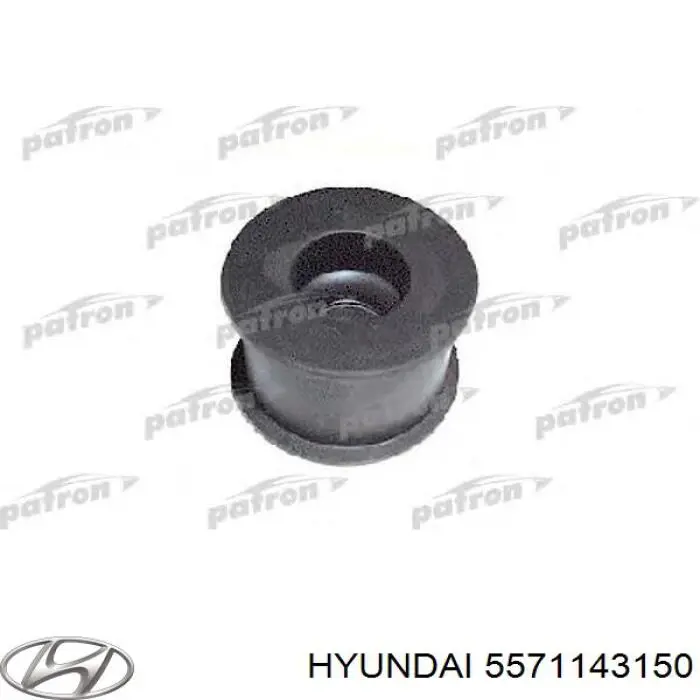 Soporte, estabilizador eje trasero para Hyundai H100 (P)