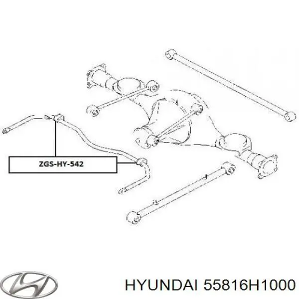 Comprar 55816H1000 Hyundai/Kia Buje de barra estabilizadora trasera