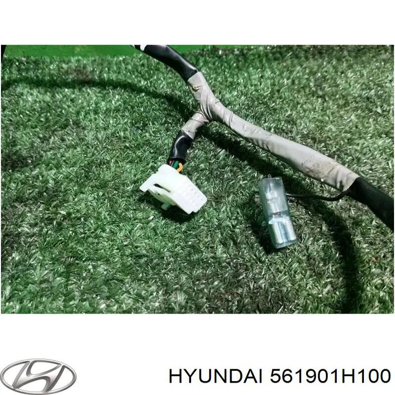 561901H100 Hyundai/Kia