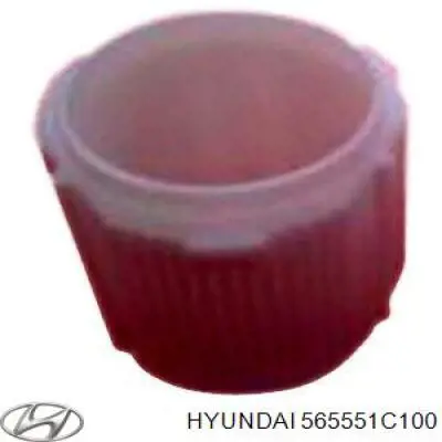 565551C100 Hyundai/Kia casquillo del eje de cremallera de direccion