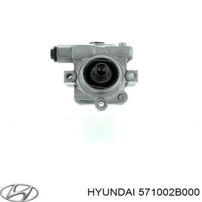 Comprar 571002B000 Hyundai/Kia Bomba servodireccion