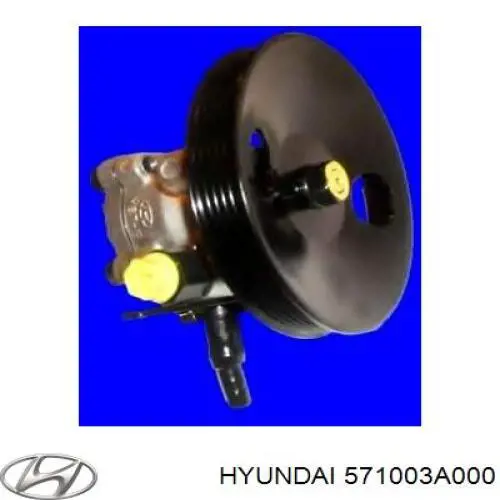 Bomba de dirección asistida Hyundai Trajet FO
