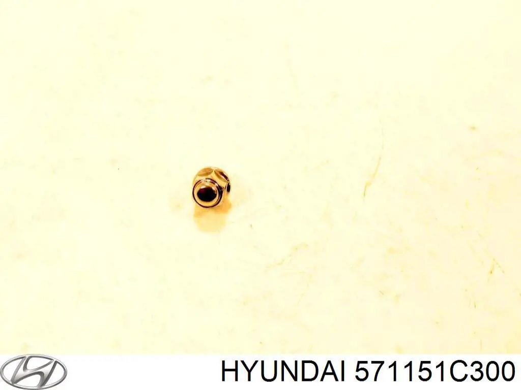 571151C300 Hyundai/Kia rotor de bomba de dirección hidráulica