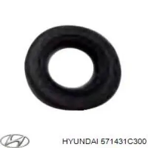 Retén de bomba de dirección asistida Hyundai/Kia 571431C300 precio, desde  EUR
