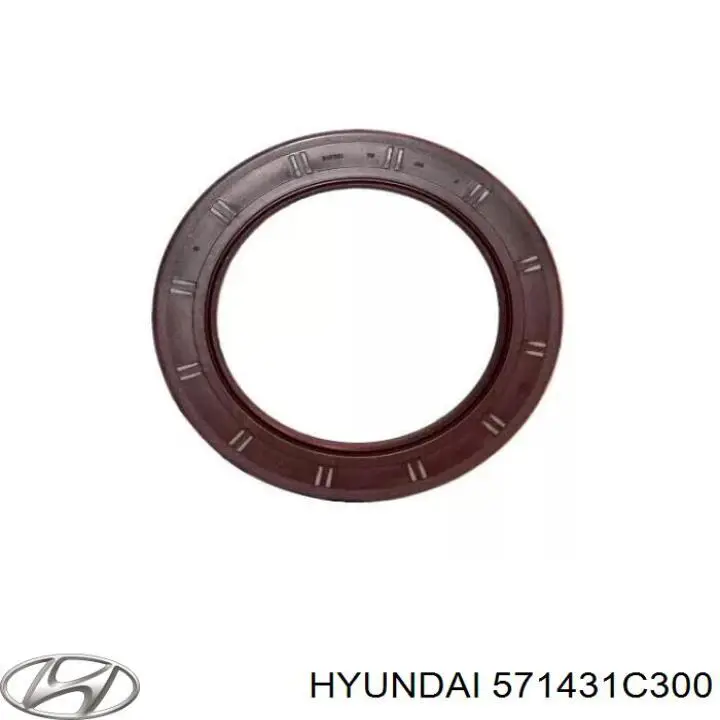Retén de bomba de dirección hidráulica para Hyundai Sonata (NF)