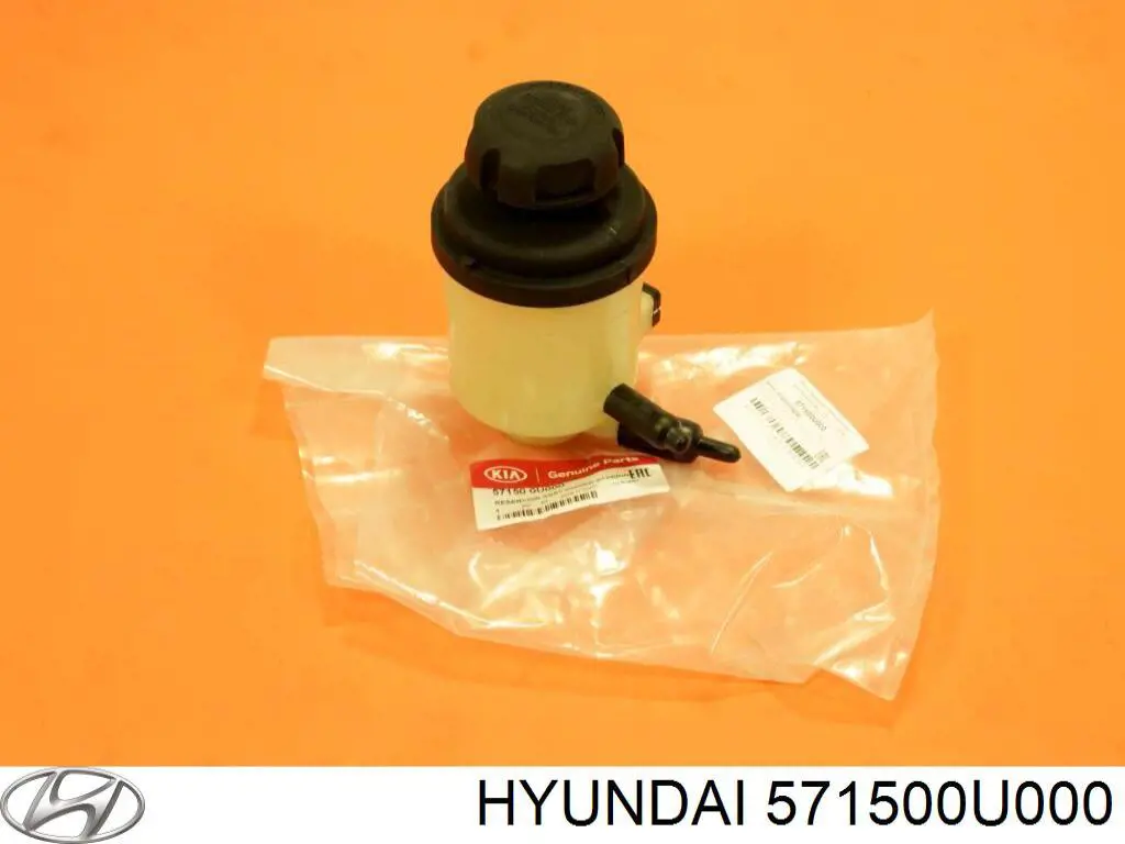 Depósito de la bomba de dirección asistida Hyundai Accent IV sedán (RB) (2010 - 2014) precio, desde 49,94 EUR