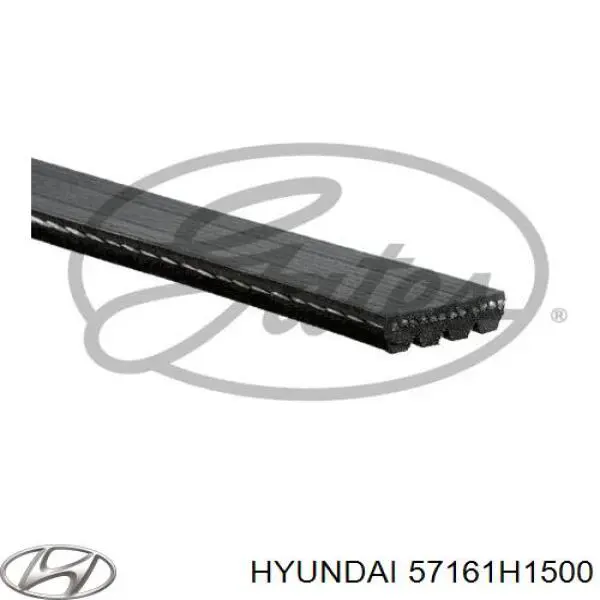 Comprar 57161H1500 Hyundai/Kia Correa trapezoidal