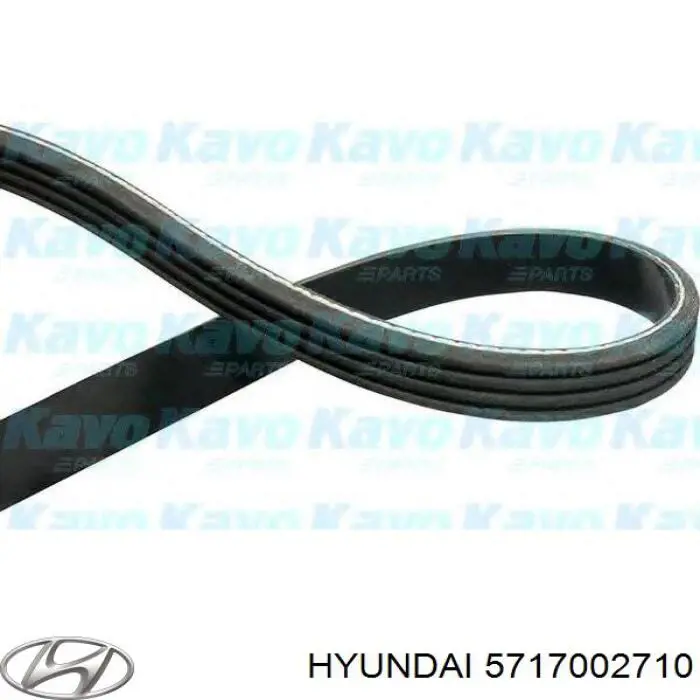 Correa de transmisión trapezoidal Hyundai/Kia 5717002710 precio, desde 5,92 EUR