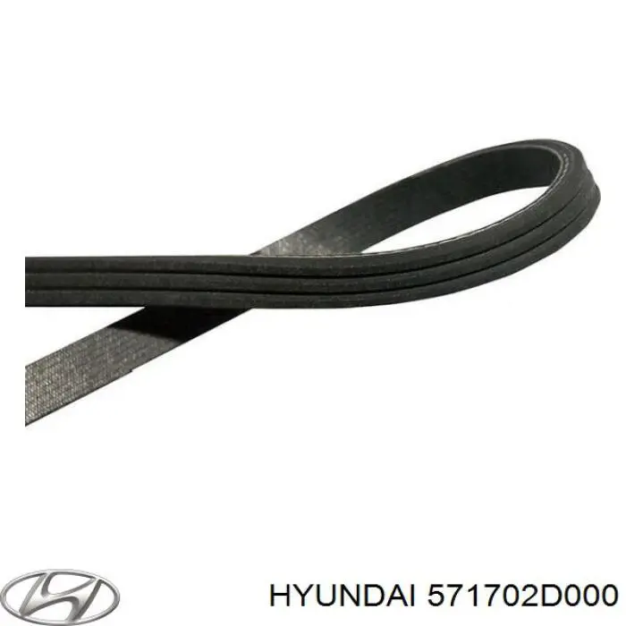Correa de transmisión trapezoidal Hyundai/Kia 571702D000 precio, desde 5,66 EUR