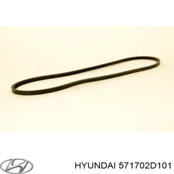 Correa de alternador 571702D101 Hyundai/Kia