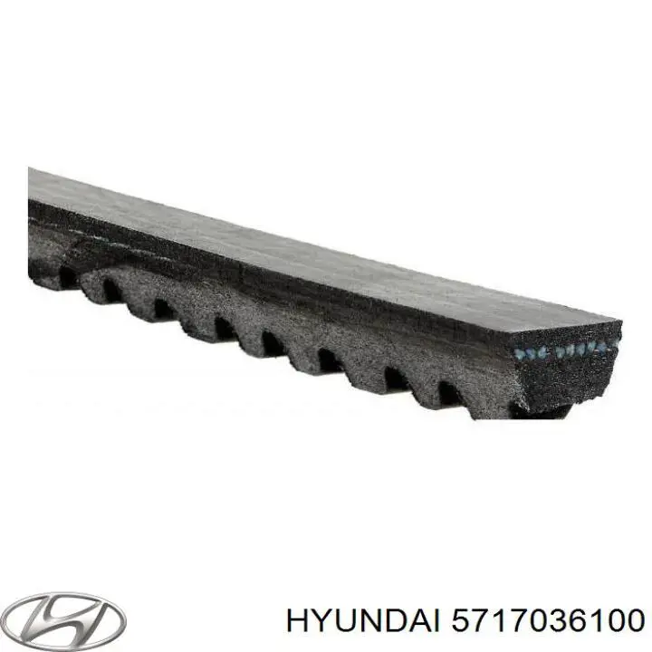 5717036100 Hyundai/Kia correa trapezoidal