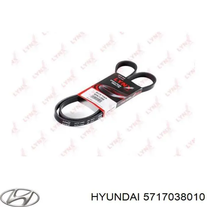 Correa de transmisión trapezoidal Hyundai/Kia 5717038010 precio, desde 14,81 EUR