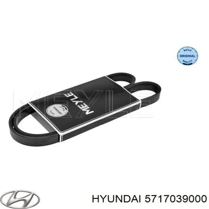 5717039000 Hyundai/Kia correa trapezoidal