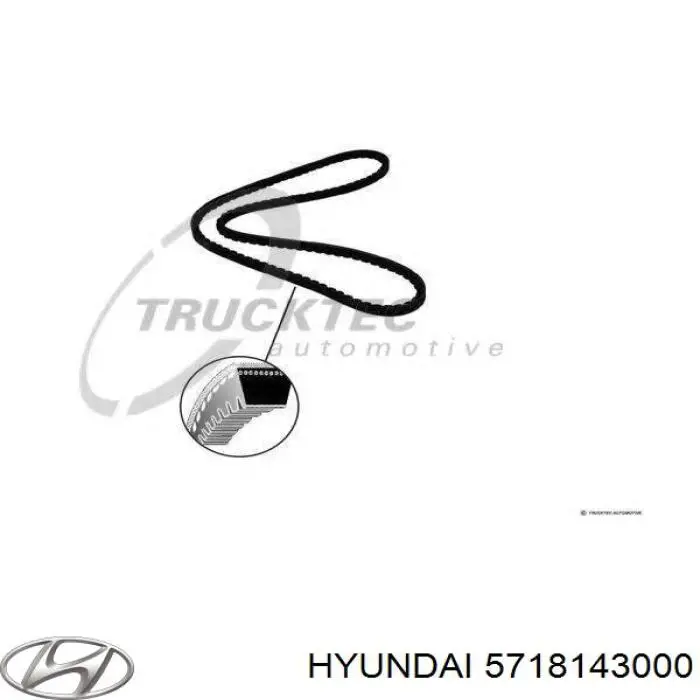 5718143000 Hyundai/Kia correa trapezoidal