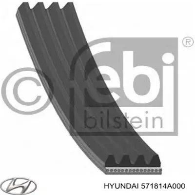 Correa de alternador 571814A000 Hyundai/Kia