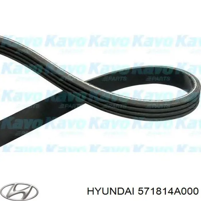 Correa de transmisión trapezoidal Hyundai/Kia 571814A000 precio, desde 7,84 EUR
