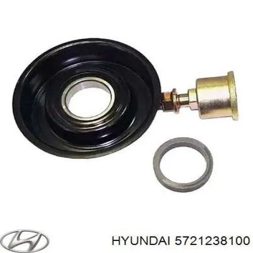 Polea inversión/guía, correa auxiliar servicios Hyundai/Kia 5721238100 precio, desde 24,88 EUR