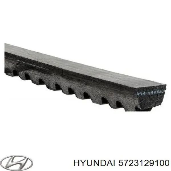 5723129100 Hyundai/Kia correa trapezoidal