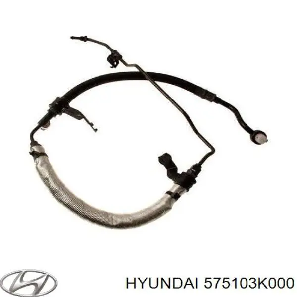 Manguera de alta presión de la dirección asistida desde la bomba hasta la cremallera Hyundai/Kia 575103K000 precio, desde 111,80 EUR
