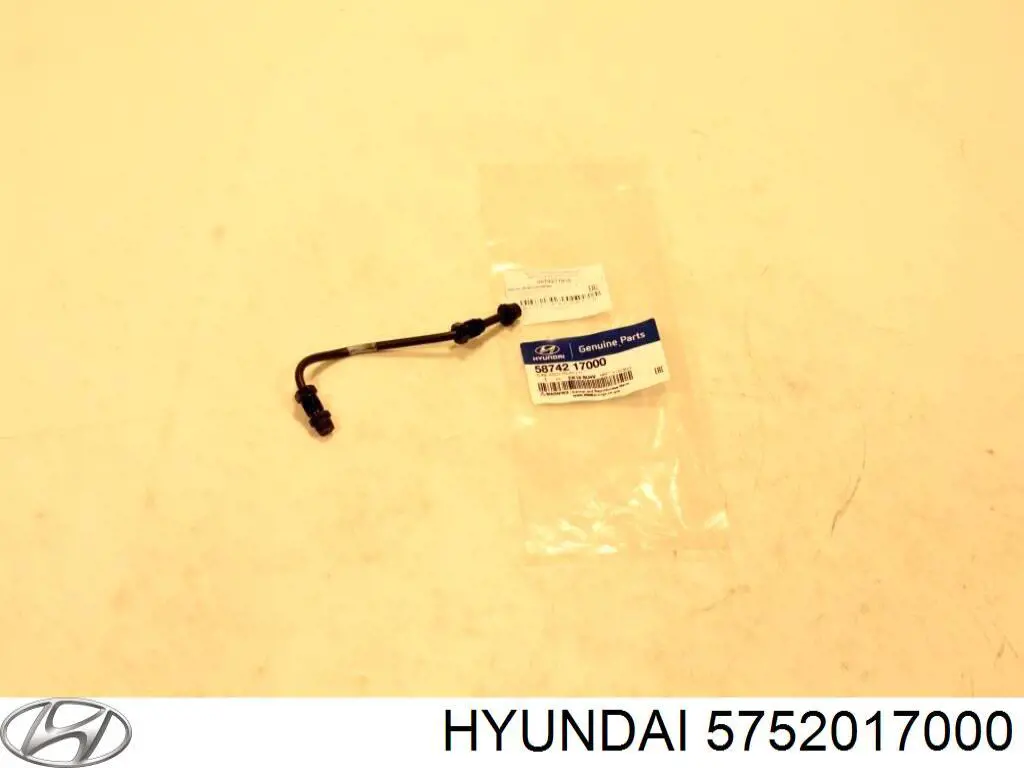 5752017000 Hyundai/Kia