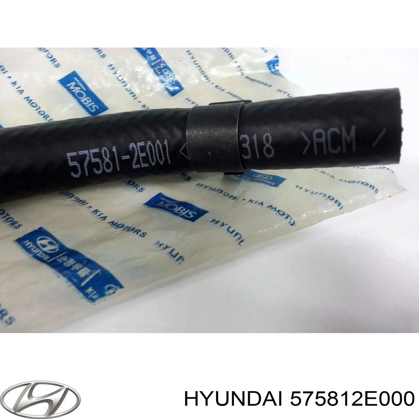 575812E001 Hyundai/Kia