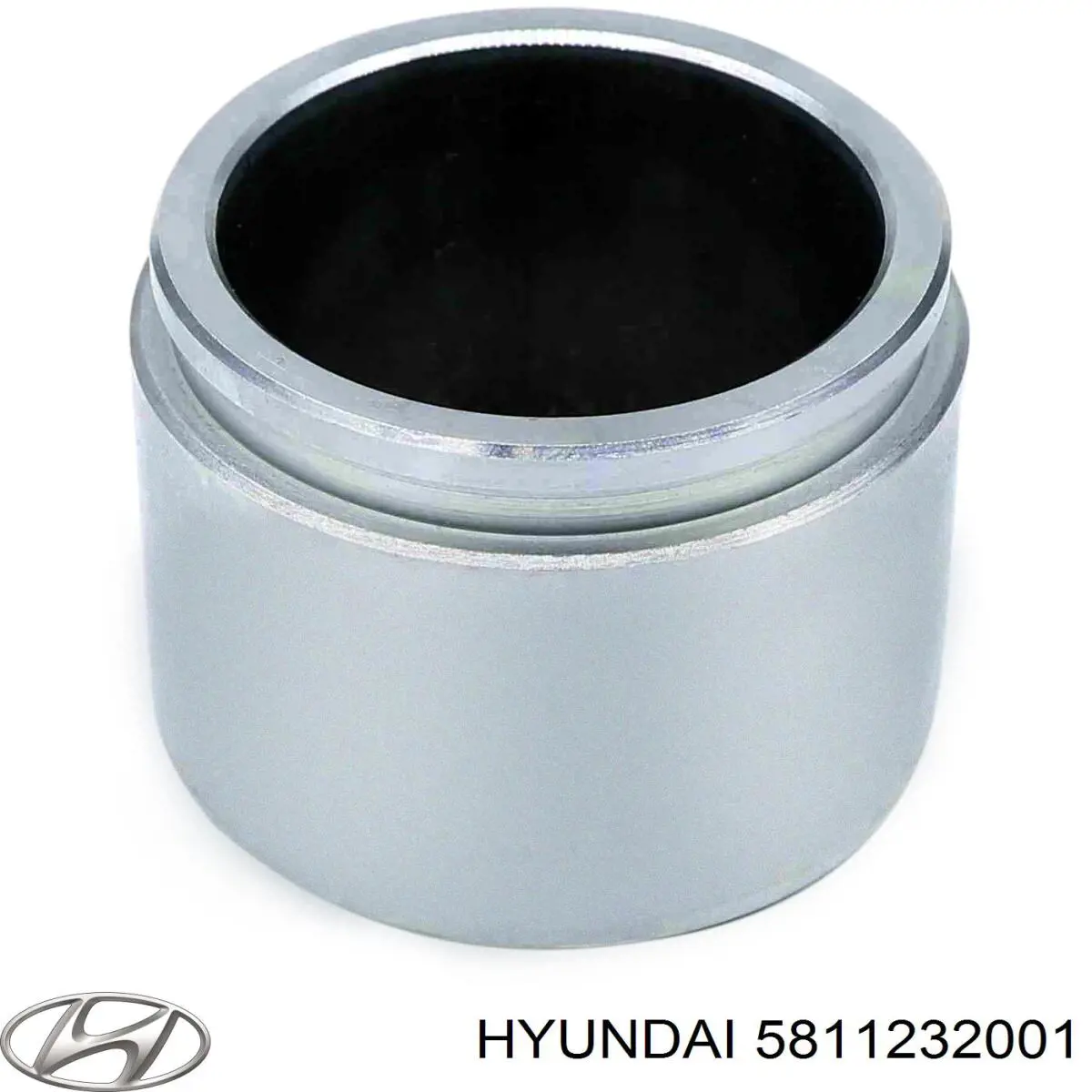 5811232001 Hyundai/Kia Émbolo de la pinza de freno delantera