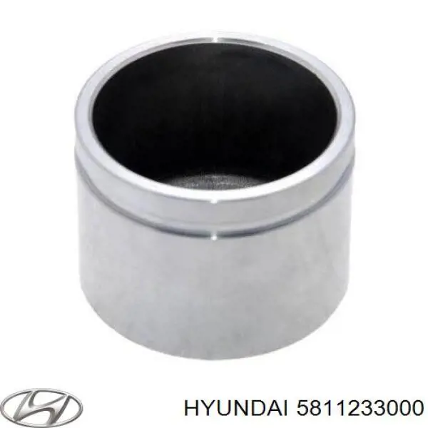 Émbolo de la pinza de freno delantera Hyundai/Kia 5811233000 precio, desde 12,72 EUR