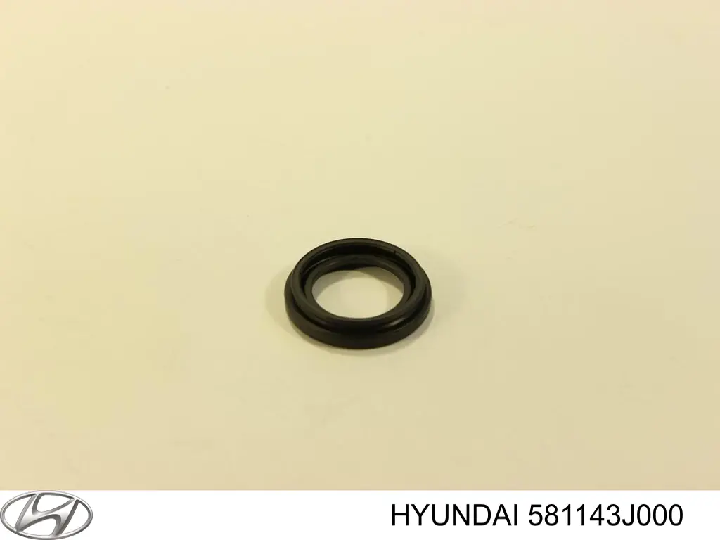 Fuelle, Pistón de pinza de freno trasero para Hyundai IX55 