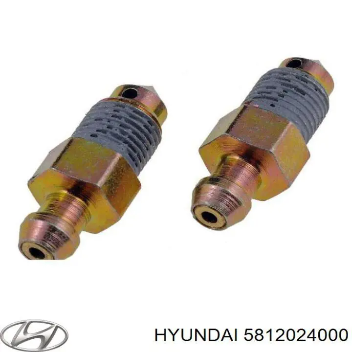 Tornillo/Valvula purga de aire, Pinza de freno Delantero para Hyundai Santa Fe (SM)